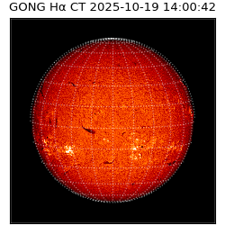 gong - 2025-10-19T14:00:42