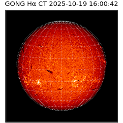 gong - 2025-10-19T16:00:42