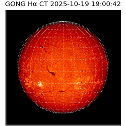 gong - 2025-10-19T19:00:42