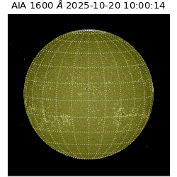 saia - 2025-10-20T10:00:14.118000