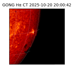 gong - 2025-10-20T20:00:42