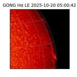 gong - 2025-10-20T05:00:42