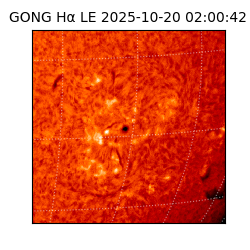 gong - 2025-10-20T02:00:42