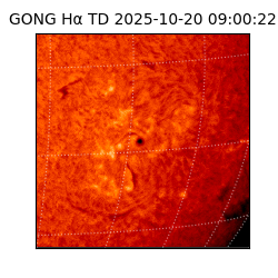 gong - 2025-10-20T09:00:22
