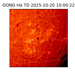 gong - 2025-10-20T10:00:22
