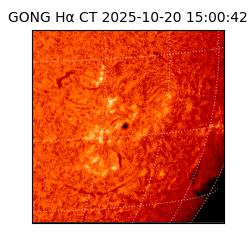 gong - 2025-10-20T15:00:42