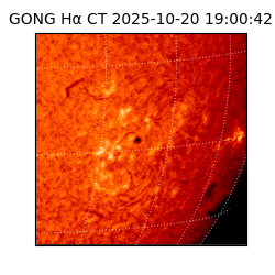 gong - 2025-10-20T19:00:42