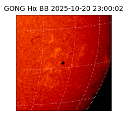gong - 2025-10-20T23:00:02