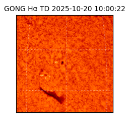 gong - 2025-10-20T10:00:22