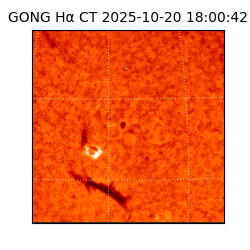 gong - 2025-10-20T18:00:42