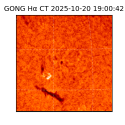 gong - 2025-10-20T19:00:42