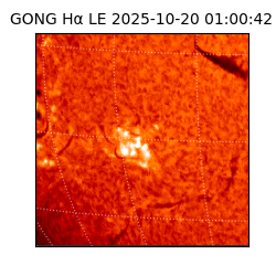 gong - 2025-10-20T01:00:42