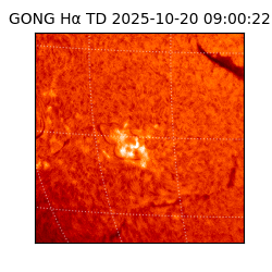 gong - 2025-10-20T09:00:22
