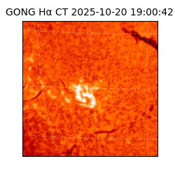gong - 2025-10-20T19:00:42