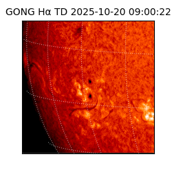 gong - 2025-10-20T09:00:22