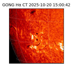 gong - 2025-10-20T15:00:42