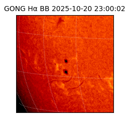 gong - 2025-10-20T23:00:02