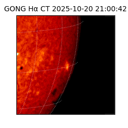 gong - 2025-10-20T21:00:42