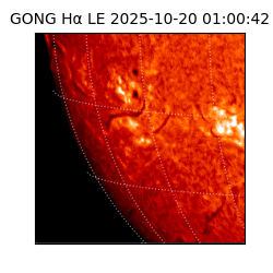 gong - 2025-10-20T01:00:42