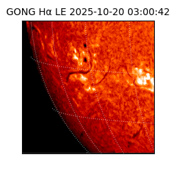 gong - 2025-10-20T03:00:42