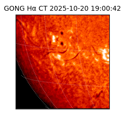 gong - 2025-10-20T19:00:42