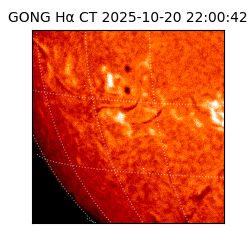 gong - 2025-10-20T22:00:42