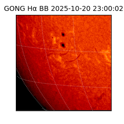 gong - 2025-10-20T23:00:02