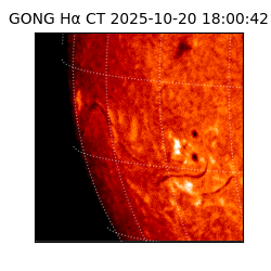 gong - 2025-10-20T18:00:42