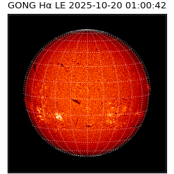 gong - 2025-10-20T01:00:42