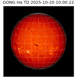 gong - 2025-10-20T10:00:22