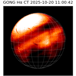 gong - 2025-10-20T11:00:42
