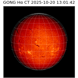 gong - 2025-10-20T13:01:42