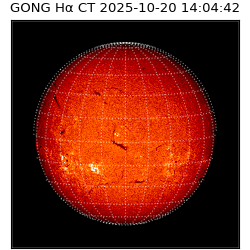 gong - 2025-10-20T14:04:42