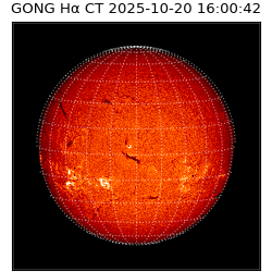 gong - 2025-10-20T16:00:42
