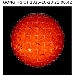 gong - 2025-10-20T21:00:42