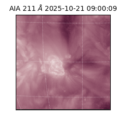 saia - 2025-10-21T09:00:09.630000