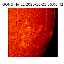 gong - 2025-10-21T06:00:42