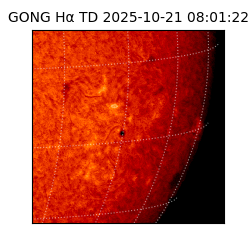 gong - 2025-10-21T08:01:22
