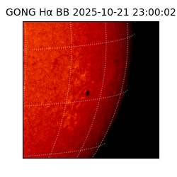 gong - 2025-10-21T23:00:02