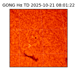 gong - 2025-10-21T08:01:22