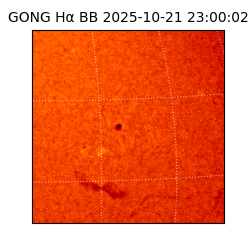gong - 2025-10-21T23:00:02