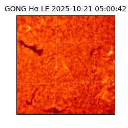 gong - 2025-10-21T05:00:42