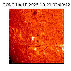 gong - 2025-10-21T02:00:42