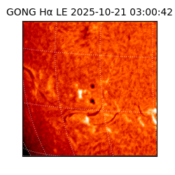 gong - 2025-10-21T03:00:42