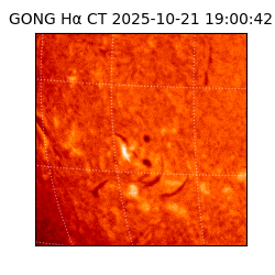 gong - 2025-10-21T19:00:42