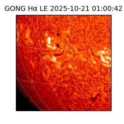 gong - 2025-10-21T01:00:42