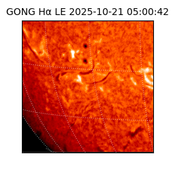 gong - 2025-10-21T05:00:42