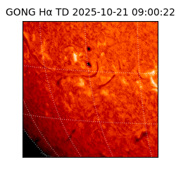 gong - 2025-10-21T09:00:22