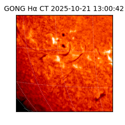 gong - 2025-10-21T13:00:42