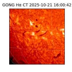 gong - 2025-10-21T16:00:42
